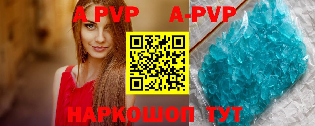 Alpha PVP СК КРИС  А ПВП СК КРИС  Елизово  Вход с VPN 