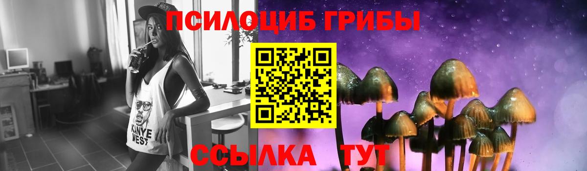 Псилоцибиновые грибы мухоморы Елизово