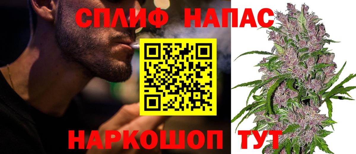 Марихуана план Елизово